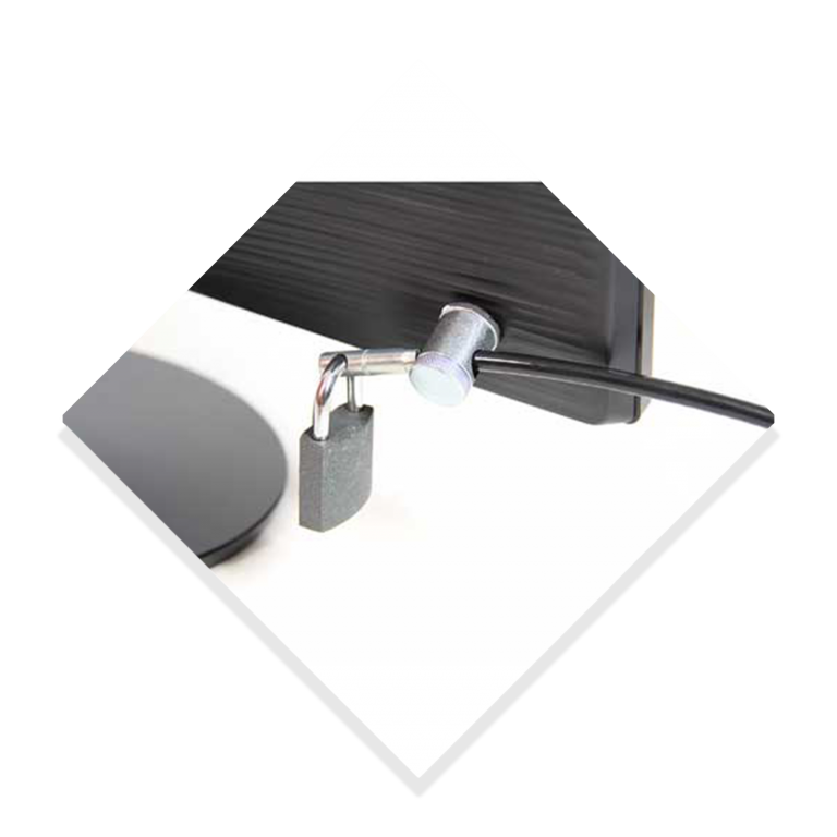 Desktop Lock with Padlock - Legion Computer Accessories